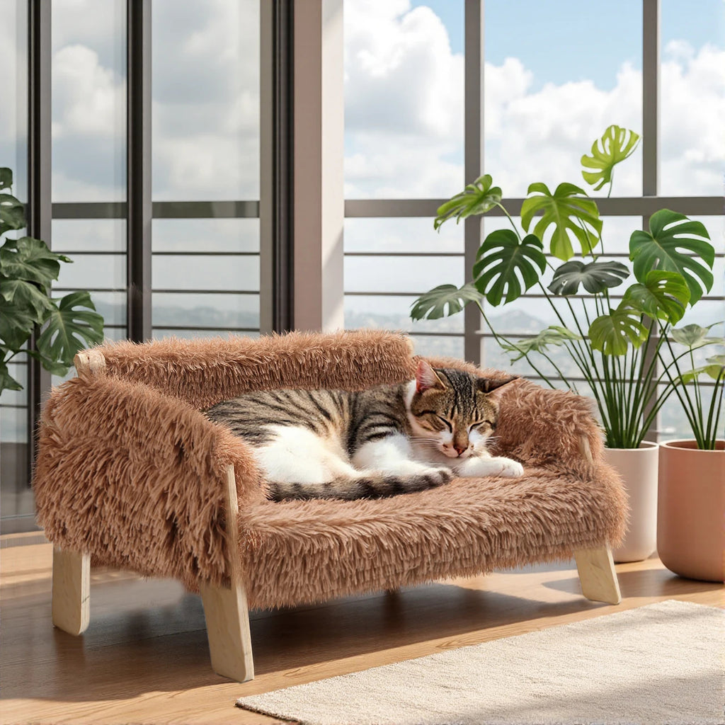 CozyLounge Elevated Cat Sofa Bed